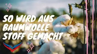 Hier kommt die TRIGEMA Baumwolle her und so entsteht der Stoff