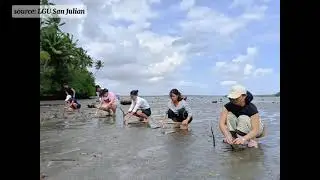 MANGROVE TREE PLANTING ACTIVITY, MALANGPUSON NGA GINBUHAT HA SAN JULIAN