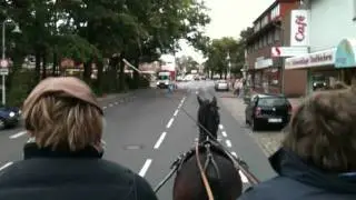 Kosmo f&auml;hrt durch Schneverdingen