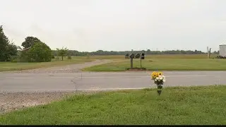 Witness helps police capture suspect in fatal hit and run crash