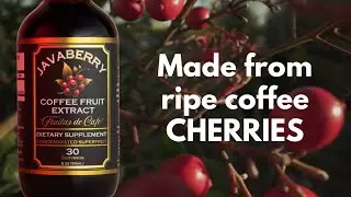 Coffee comes from a Fruit?! 🍒 Meet Javaberry