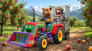 Bear Farmer and JCB Tractor Excavator to Harvest Oranges and Catch a Sneaky Thief on the Farm