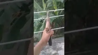 How to make gun  #subscribe #shorts #viral #short #inda