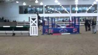 Primitive Proposal at SSGB 2011
