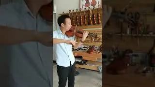 Europe oil painting  violin audition #violin #tonglingmusic #audition #violin luthier