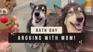 Dog Arguing with Mom over Bath Day!