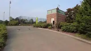 コンペ評議会クロス狐 50710