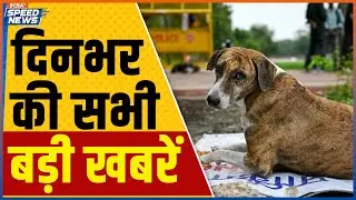 Supreme Court on Stray Dogs | Maharashtra Politics | Akhilesh Yadav Meets Azam Khan | India TV