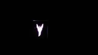 flash video test