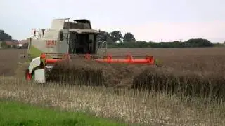 claas lexion 460 x2 żniwa rzepaku 2011 (dolnośląskie)