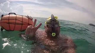 18.08.2018 Razza durante nuotata al Poetto Stabilimento Vigili del Fuoco CAGLIARI