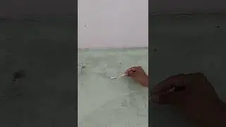 Samosa bomb testing 🎆#shorts#viral#experiment