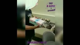 ЭКО в Корее с Вероникой
