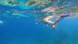 Snorkeling coin de mire