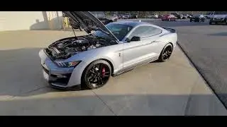 GT 500 For Wes