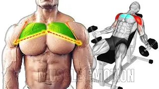 12 BEST UPPER CHEST WORKOUT WITH DUMBBELLS ONLY AT HOME OR GYM