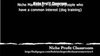 Niche Profit Classroom Review
