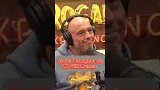 Joe Rogan SLAMS CNN and Neil Young #jre #joerogan #joeroganexperience #jreclips #cnn