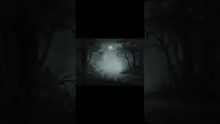 Digital Landscape Time-lapse 