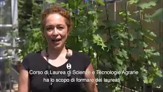 Presentazione del Corso di Laurea in Scienze e Tecnologie Agrarie