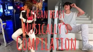 Raegan beast musically&rsquo;s compilation