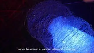 Art installation about &ldquo;Echo chamber&rdquo;