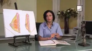 Breast Enlargement in Males