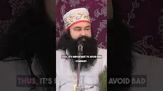 The Importance of Good Company | Spiritual Wisdom by St. Gurmeet Ram Rahim Singh Ji Insan  #shorts
