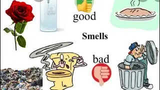 Good Smell and Bad Smell Lesson #senseofsmell #fivesenses