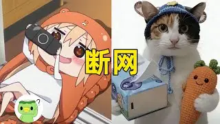【斷網補全計畫117】全網最荒謬的一週：會空翻的機器人，蒙答案的貓