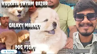 Kolkata Shyam bazar galaxy market#dog कोलकाता श्याम बाजार गैलेक्सी मार्क#vlog#viral#video 11/1/2026