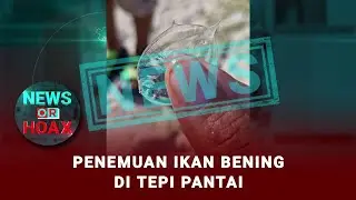 Fakta Penemuan Ikan Bening