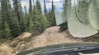 Downhill speed control on, low range and foot off all the pedals in a Jeep Grand Wagoneer