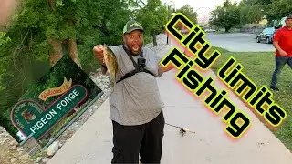 PIGEON FORGE TN
Fishing for Smallmouth and trout in the City Limits