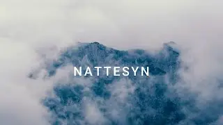 Nattesyn