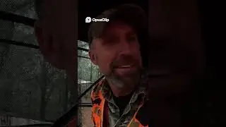 Why I Choose to Hunt: Reflections from the Woods