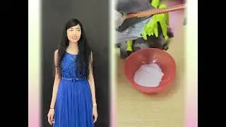 🤣👌👌👌2025 pov Must-Watch Crazy Clips Compilation #humor #fypシ #pov #fyp #foryou 😍😜