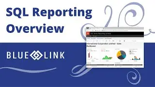 SQL Server Reporting (SSRS) - Blue Link ERP [OVERVIEW]