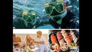Dive into Cape Town&rsquo;s Coastline Kelp Forest like a Local.