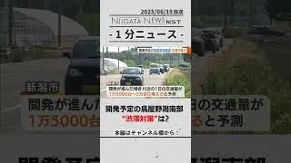 開発予定の鳥屋野潟南部 &ldquo;渋滞対策&rdquo;は？#新潟　#新潟市　#渋滞