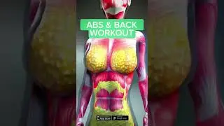 ABS & BACK WORKOUT #shorts