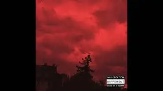 GROOVEPAD | ETHNIC TRAP (B)|///TRAP STYLE///