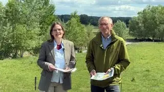Blickpunkt Ingelheim im Juni: Galloway-Rinder
