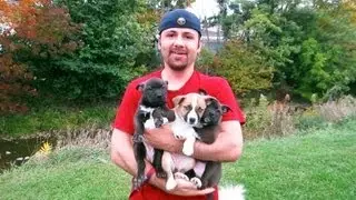 MY HUSKIBULL PUPPIES (6 weeks old)