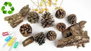 Look What I Made With Pine Conesl!&nbsp; Amazing DIY recycling idea ♻️🌟