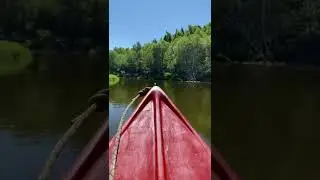 #pineriver  #каноэ