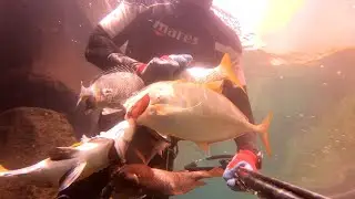 spearfishing 2021 اسهل طريقة صيد بالمسدس الغوص الحر