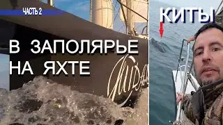 79 | Пограничники | КИТЫ | на Яхте в Мурманск и НОРВЕГИЮ