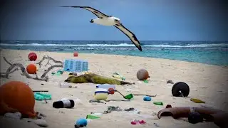 Plastics are threatening Broward County's beaches
