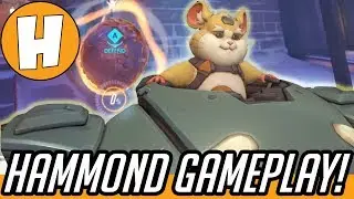 Overwatch - Hammond/Wrecking Ball Gameplay! (1 HERO LIMIT Quickplay) | Hammeh